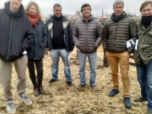 (audio)Buenos valores para los Angus en el remate de La Agrícola Ganadera