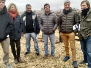 (audio)Buenos valores para los Angus en el remate de La Agrícola Ganadera