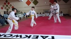 Chaves: se realizó un examen para nuevas categorías de Taekwon-Do