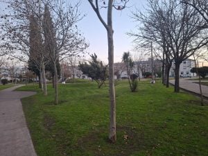 El Municipio continúa mejorando cada espacio verde (audio)