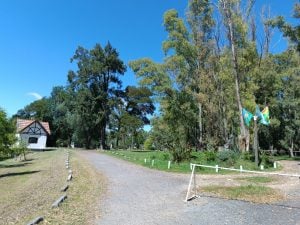 El Municipio continúa mejorando cada espacio verde (audio)