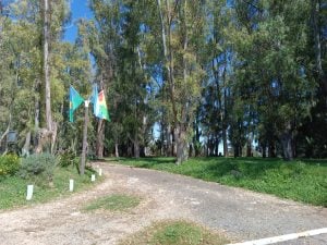 El Municipio continúa mejorando cada espacio verde (audio)