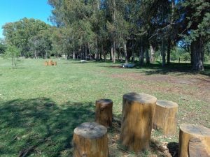 El Municipio continúa mejorando cada espacio verde (audio)