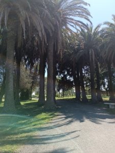 El Municipio continúa mejorando cada espacio verde (audio)