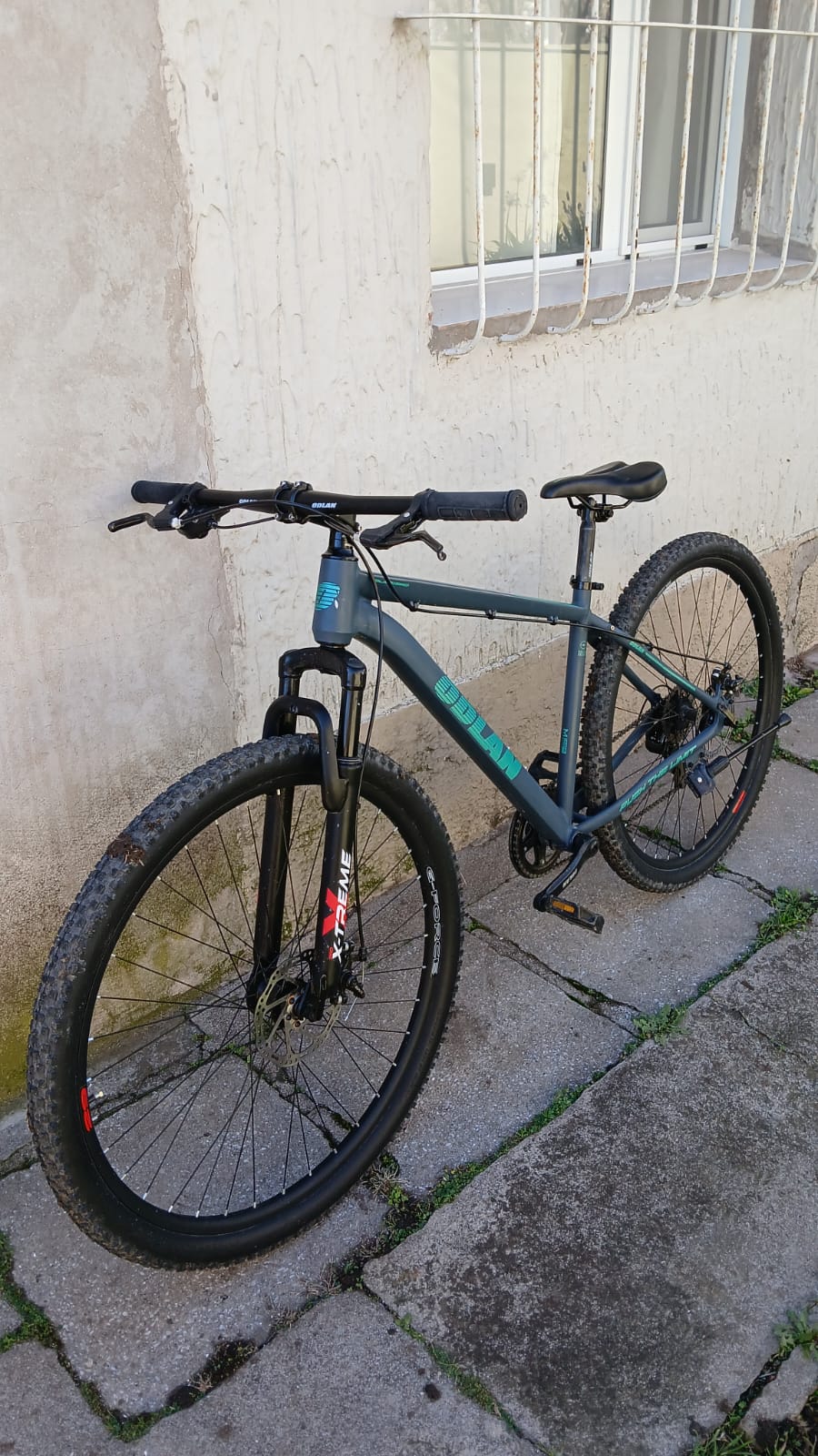 Un robo que no fue. Denunció la falta de su bicicleta y se la había guardado el vecino