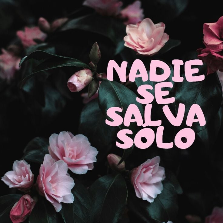 (audio) Flor Gentile contó sobre el proyecto solidario 