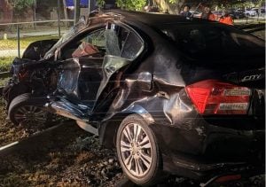 Murió Ernestina Pais: el Tren de la Costa arrolló su auto