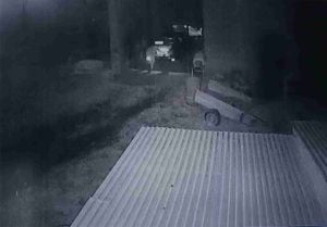 (audio y videos) Carlos Ávila, víctima de la delincuencia en su domicilio en Claromecó