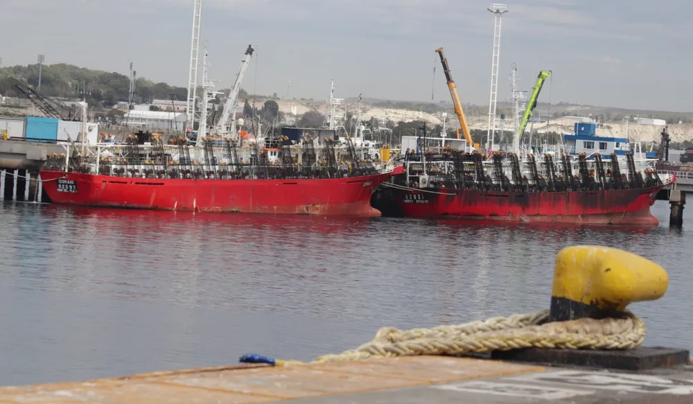 El Gobierno bonaerense pidió frenar la incorporación de nuevos buques para la pesca de calamar