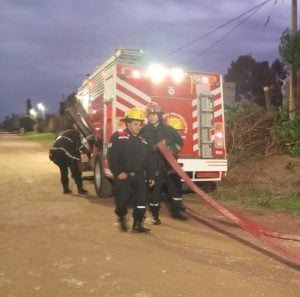 Bomberos rescataron a un caballo que había caído a un pozo