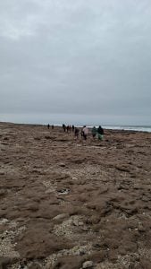 Estudiantes de la Escuela Secundaria Nº10 visitaron la Reserva Natural de Claromecó