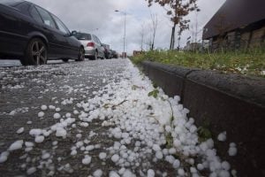 (audio) DAN Seguro de Granizo lanza una nueva convocatoria para acompañar proyectos con impacto comunitario