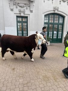Con presencia tresarroyense, finalizó la edición 138 de la Expo Rural en Palermo