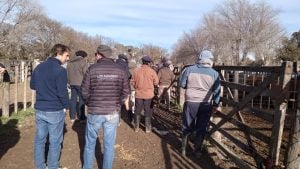 Exitoso quinto remate del año de Arzoz y Compañía