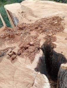 Vecinos agradecen al municipio las próximas tareas de mantenimiento en el arroyo y Parque Miedan (audio)