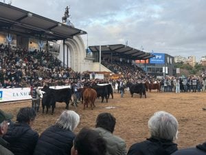 Con presencia tresarroyense, finalizó la edición 138 de la Expo Rural en Palermo