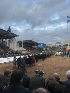 Con presencia tresarroyense, finalizó la edición 138 de la Expo Rural en Palermo