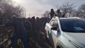 Exitoso quinto remate del año de Arzoz y Compañía