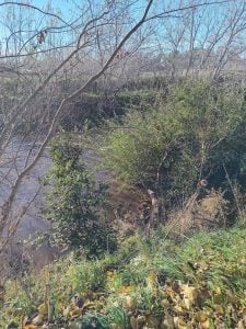 Vecinos agradecen al municipio las próximas tareas de mantenimiento en el arroyo y Parque Miedan (audio)