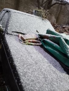 (videos) La primera nevada del invierno. De Tres Arroyos a todo el país las imágenes de LU24 por TN