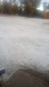 (videos) La primera nevada del invierno. De Tres Arroyos a todo el país las imágenes de LU24 por TN