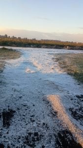 (videos) La primera nevada del invierno. De Tres Arroyos a todo el país las imágenes de LU24 por TN