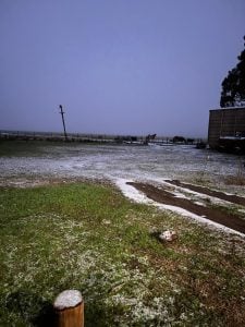 (videos) La primera nevada del invierno. De Tres Arroyos a todo el país las imágenes de LU24 por TN