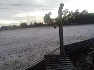 (videos) La primera nevada del invierno. De Tres Arroyos a todo el país las imágenes de LU24 por TN