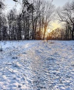 (videos) La primera nevada del invierno. De Tres Arroyos a todo el país las imágenes de LU24 por TN