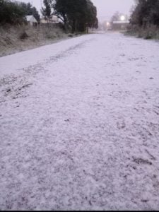 (videos) La primera nevada del invierno. De Tres Arroyos a todo el país las imágenes de LU24 por TN