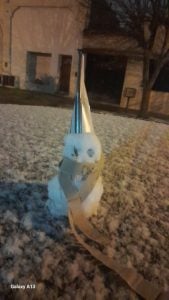 (videos) La primera nevada del invierno. De Tres Arroyos a todo el país las imágenes de LU24 por TN