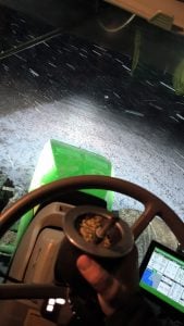 (videos) La primera nevada del invierno. De Tres Arroyos a todo el país las imágenes de LU24 por TN