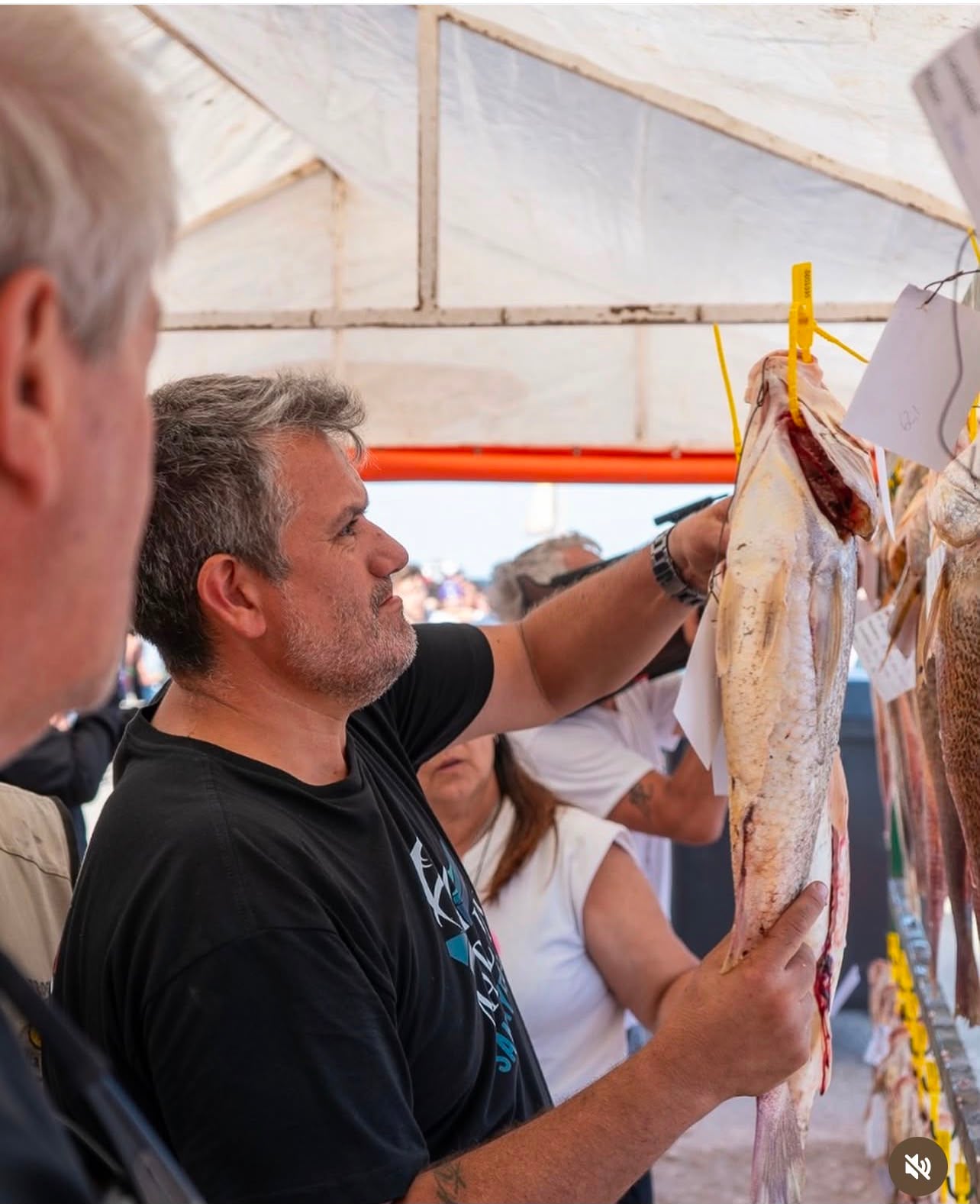 Pesca: El Marlin de San Cayetano prepara la 50 edición de su tradicional concurso