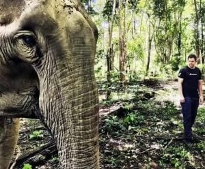 (audio) La historia del veterinario que encontró su propósito cuidando osos rescatados