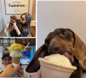 (audio) Son de Rafaela y fabrican helados para mascotas