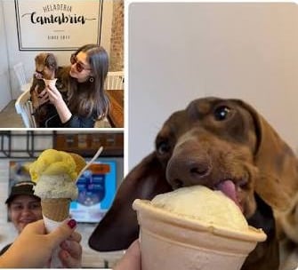 (audio) Son de Rafaela y fabrican helados para mascotas
