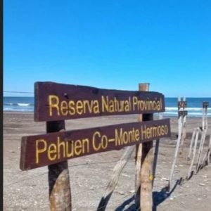 (audio) Silveiro Feola y el hallazgo paleontológico en las costas de PehuenCo