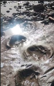 (audio) Silveiro Feola y el hallazgo paleontológico en las costas de PehuenCo