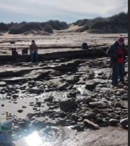 (audio) Silveiro Feola y el hallazgo paleontológico en las costas de PehuenCo