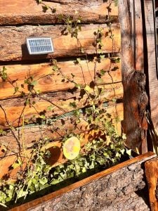 (audio) Compraron un colectivo y lo restauraron para vivir en él