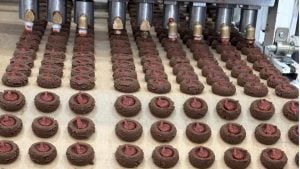 (audio) Creó el primer alfajor vegano del país y hoy vende más de un millón por año