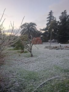 Toda la zona comparte imágenes de la nevada con nuestra radio