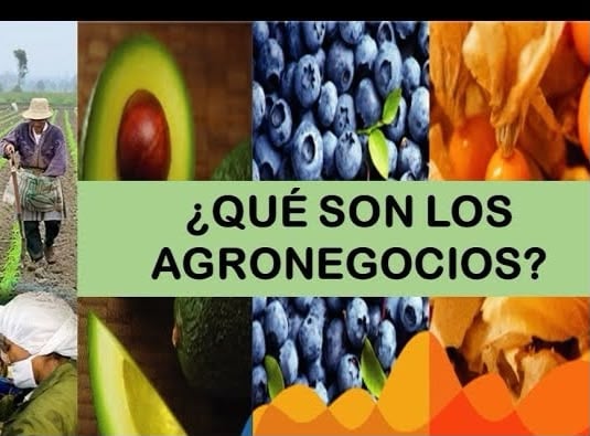 Agronegocios: Sociedad Rural Argentina - Universidad Austral