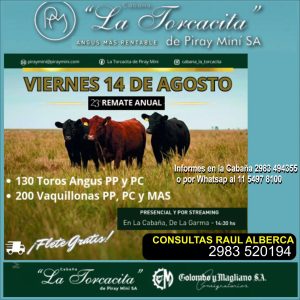 (audio) La Torcacita prepara su remate anual con una destacada oferta genética y un día de campo previo