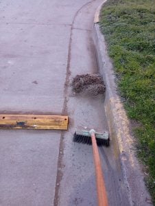 Chaves Municipio continúa con tareas de limpieza y mantenimiento de desagües. También mejoramiento vial