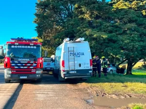 Se despistó y chocó contra un árbol: Murió vecino de San Cayetano en ruta 75