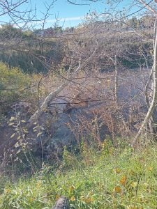 Vecinos agradecen al municipio las próximas tareas de mantenimiento en el arroyo y Parque Miedan (audio)
