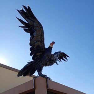 (audio) Diego Art y el proceso de Inti, Cóndor gigante que se viralizó en Mendoza