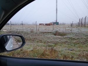 Toda la zona comparte imágenes de la nevada con nuestra radio