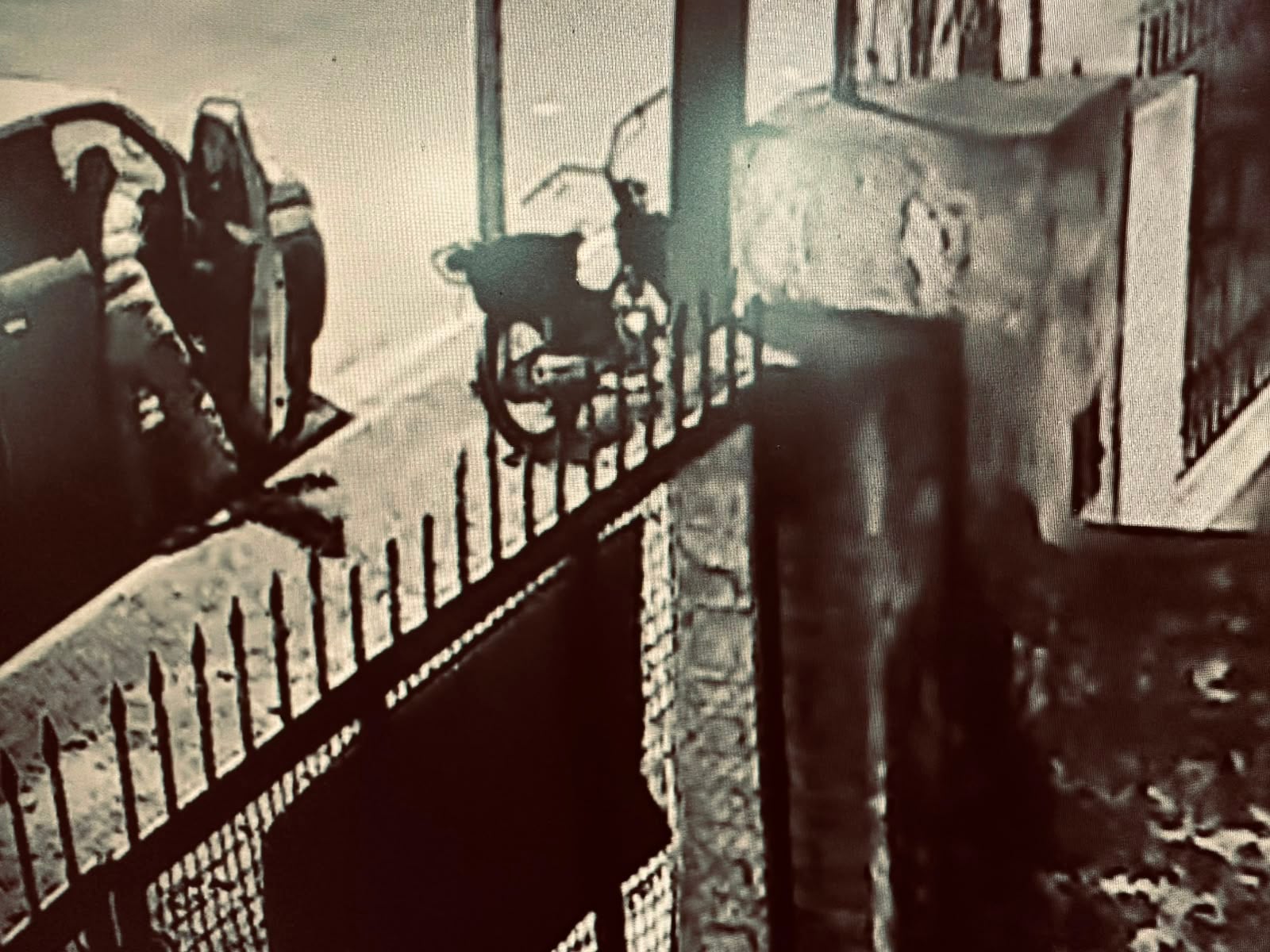 (video) El peligro de ladrones solitarios sin escrúpulos